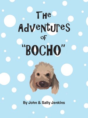 cover image of The Adventures of Bocho